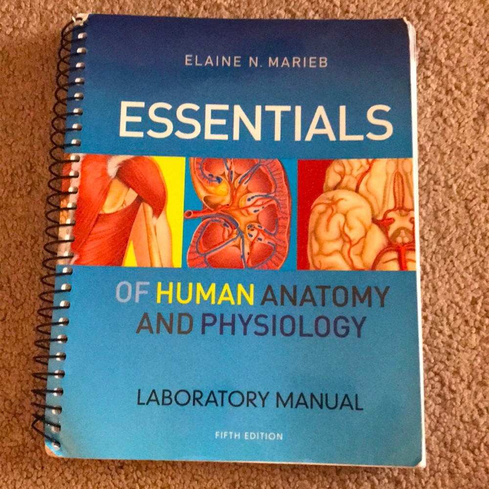 Essentials of Human Anatomy and Physiology